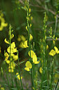 BUITEN BEELD Foto: 439561