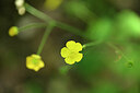 BUITEN BEELD Foto: 439562