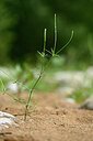 BUITEN BEELD Foto: 439573