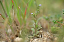 BUITEN BEELD Foto: 439574