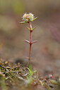 BUITEN BEELD Foto: 439590