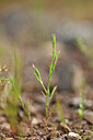 BUITEN BEELD Foto: 439596