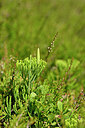 BUITEN BEELD Foto: 439601