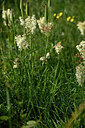 BUITEN BEELD Foto: 439606