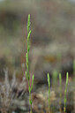 BUITEN BEELD Foto: 439611