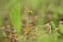 BUITEN BEELD Foto: 439612
