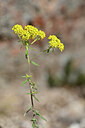BUITEN BEELD Foto: 439616