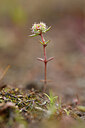 BUITEN BEELD Foto: 439621