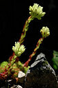 BUITEN BEELD Foto: 439624