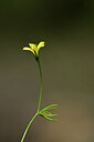 BUITEN BEELD Foto: 439625