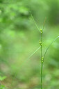 BUITEN BEELD Foto: 439627