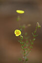 BUITEN BEELD Foto: 439628