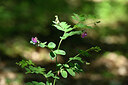 BUITEN BEELD Foto: 439629