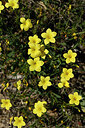BUITEN BEELD Foto: 439631