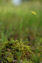 BUITEN BEELD Foto: 439632