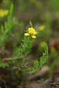 BUITEN BEELD Foto: 439637