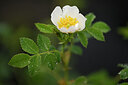 BUITEN BEELD Foto: 439643