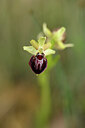 BUITEN BEELD Foto: 439644