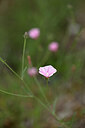 BUITEN BEELD Foto: 439650