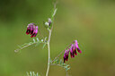 BUITEN BEELD Foto: 439653
