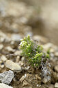 BUITEN BEELD Foto: 439661