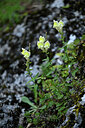 BUITEN BEELD Foto: 439662