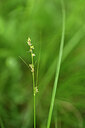 BUITEN BEELD Foto: 439663