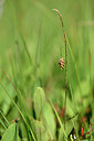 BUITEN BEELD Foto: 439674
