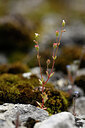 BUITEN BEELD Foto: 439676