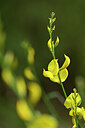 BUITEN BEELD Foto: 439679