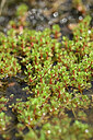 BUITEN BEELD Foto: 439682