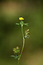 BUITEN BEELD Foto: 439684