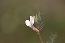 BUITEN BEELD Foto: 439692