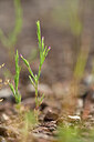 BUITEN BEELD Foto: 439694