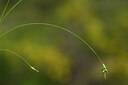 BUITEN BEELD Foto: 439698