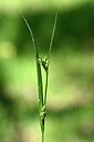BUITEN BEELD Foto: 439699