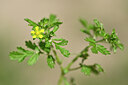 BUITEN BEELD Foto: 439700