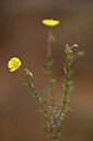 BUITEN BEELD Foto: 439701