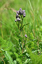 BUITEN BEELD Foto: 439702