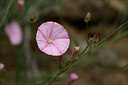 BUITEN BEELD Foto: 439709