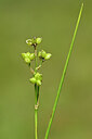 BUITEN BEELD Foto: 439713