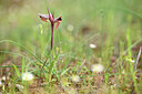 BUITEN BEELD Foto: 439716