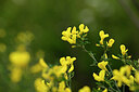 BUITEN BEELD Foto: 439719