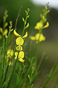 BUITEN BEELD Foto: 439720
