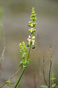 BUITEN BEELD Foto: 439721