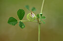 BUITEN BEELD Foto: 439722