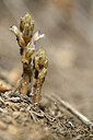 BUITEN BEELD Foto: 439724