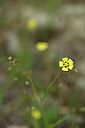 BUITEN BEELD Foto: 439725