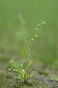 BUITEN BEELD Foto: 439738