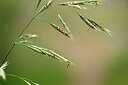 BUITEN BEELD Foto: 439740